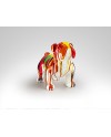 OTTO- BULLDOG MEDIANO COLORES